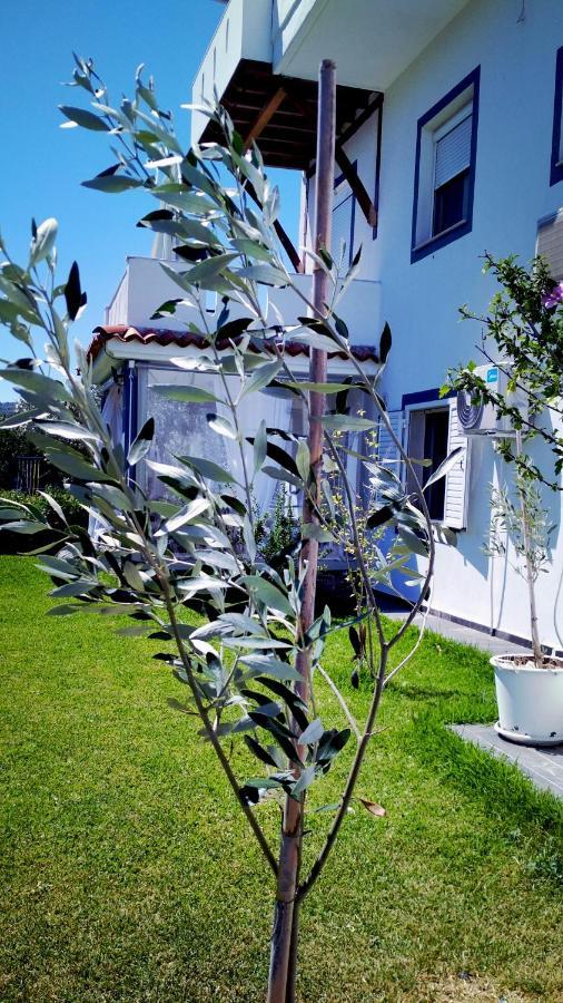 Zephyros Family Apartments 1 Órmos Panajías Eksteriør bilde